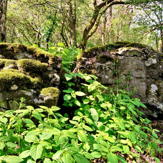 Naturschutzgebiet Wingershäuser Schweiz