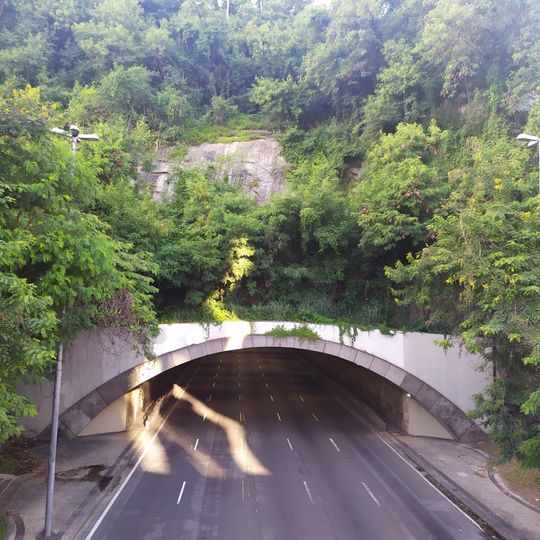 Embocadura do Túnel do Pasmado