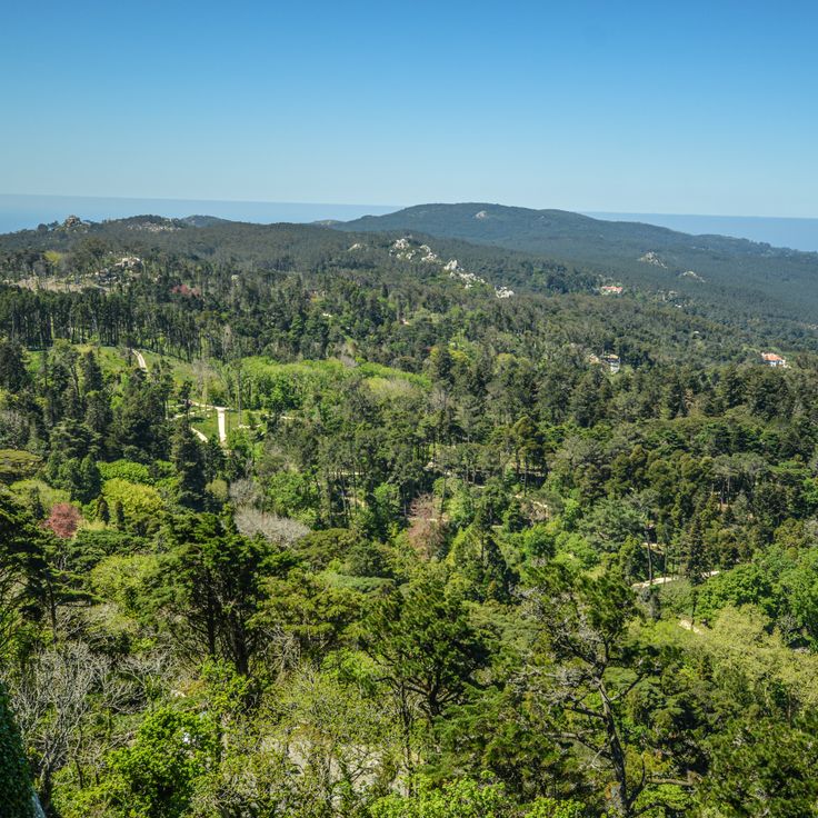 Parque da Pena