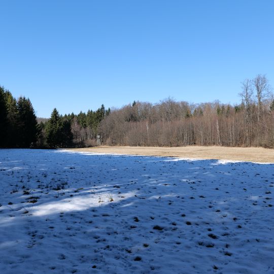 Sämanns- und Waschwiesen bei Seidenroth