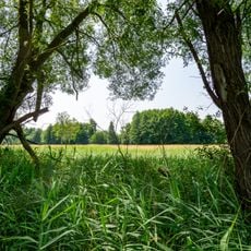 Erlenbachwiesen - Rote Hecke