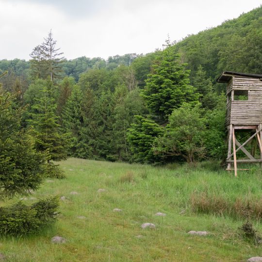 LSG-Magerwiesen und -weiden am Niedersachenweg