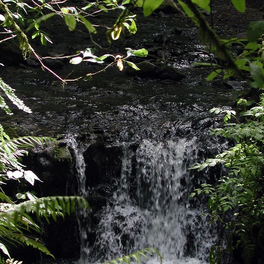 Balch Creek