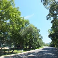 Vetka Primorskiy kray