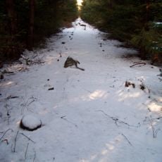 Kounovské řady severně od Kounova