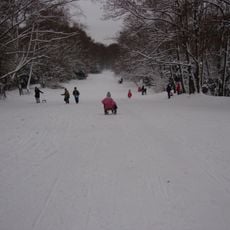 Volkspark Humboldthain
