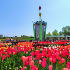 礪波鬱金香公園
