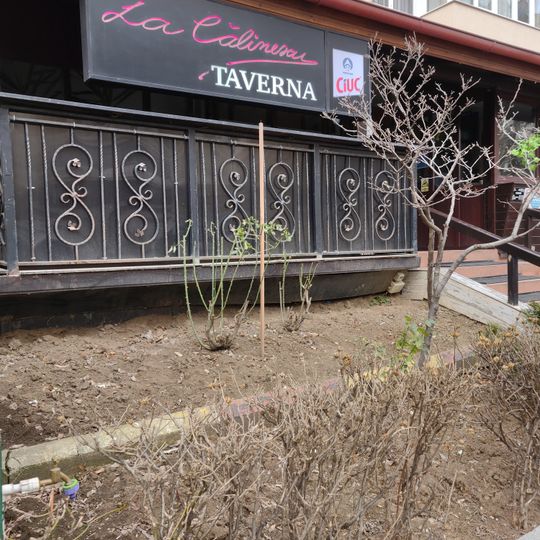 Taverna La Călinescu