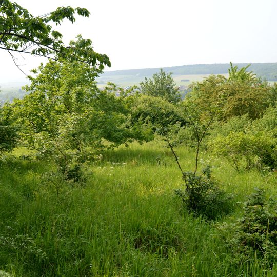 Lichtenberge - Oelber Tal - Elberberg-Höhenzug