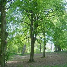 Wychwood