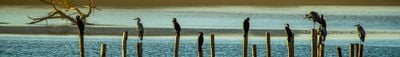 Panoramic View 1