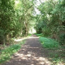 Charnwood Forest