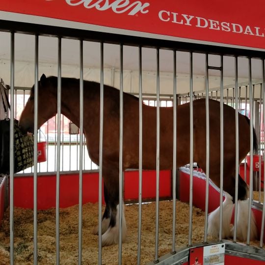 Monroe County Fairgrounds