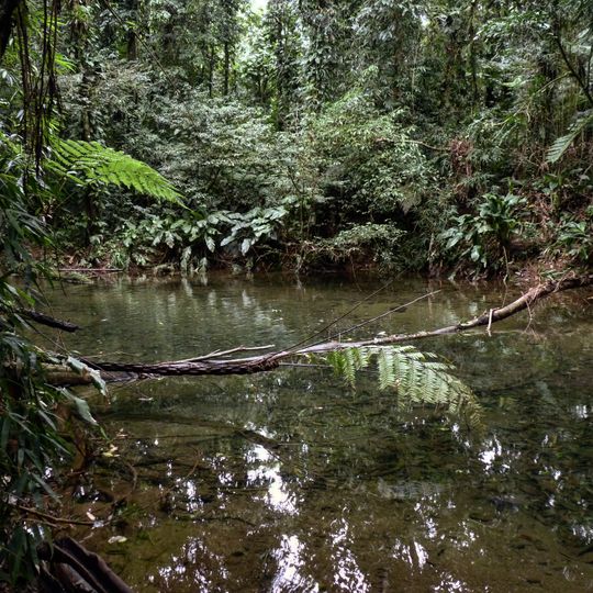 Sebuí Private Natural Heritage Reserve