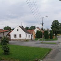 Mohuřice