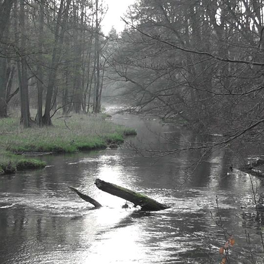 Warnowtal bei Karnin