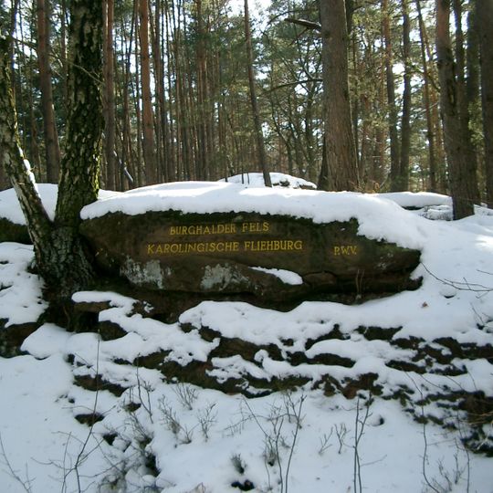 Ritterstein 219 "Burghalder Fels"