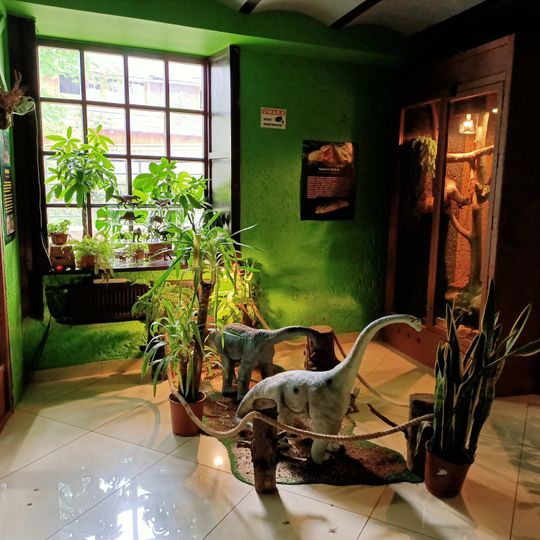 Zwierzęta Egzotyczne Gady Reptarium Atrakcje Zakopane