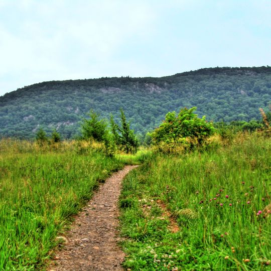Wawayanda Mountain