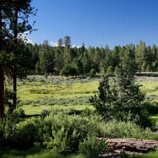 Malheur National Forest