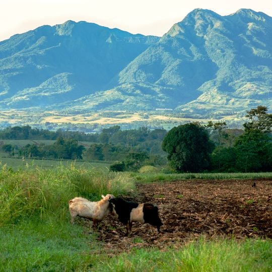 Mindanao Settentrionale