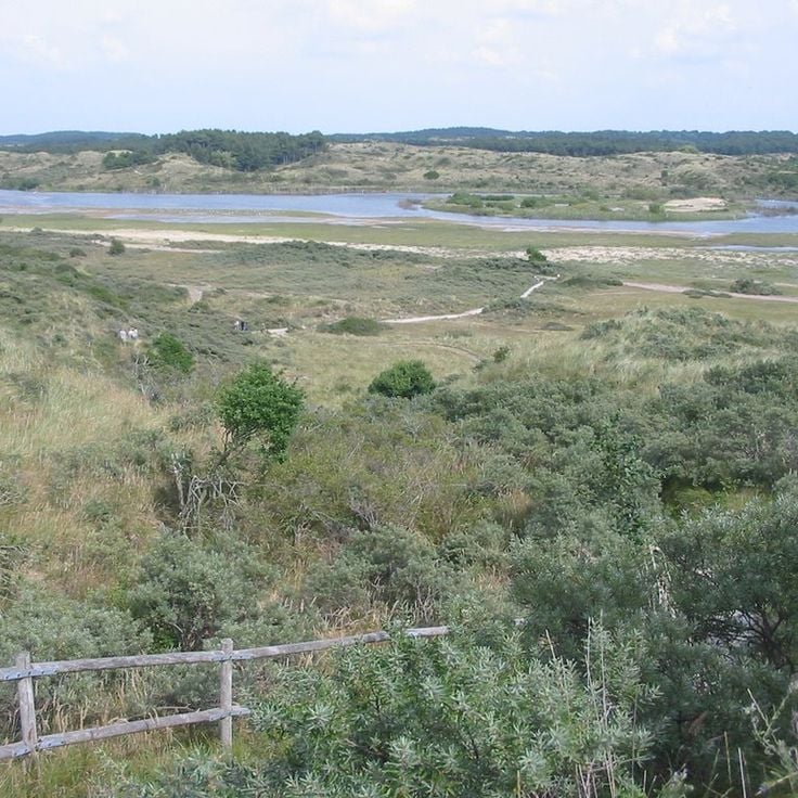 Nationaal Park Zuid-Kennemerland