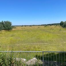Heideblick