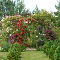 Le Jardin de Mireille