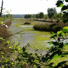 Placken-, Königs- und Stoteler Moor
