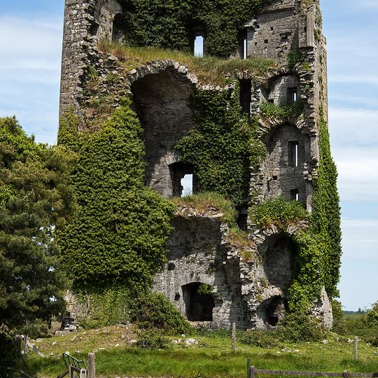 Ballymarkahan Castle