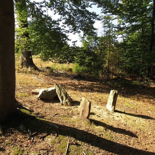 Hraniční kameny u Kamenné v lese na Trojmezí