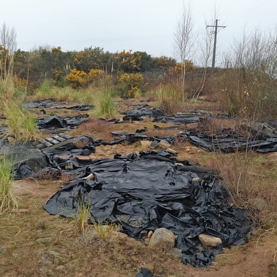 Alignement de Kerdruellan