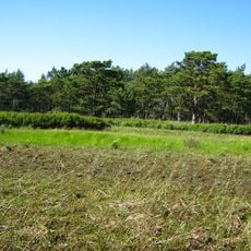 Nature reserve Białogóra