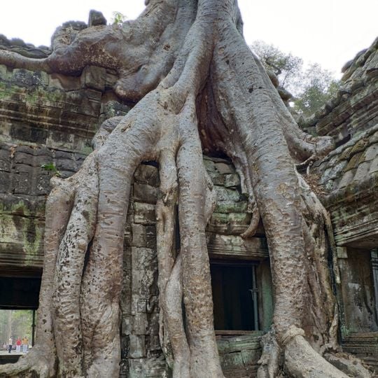 ប្រាសាទតាព្រហ្ម