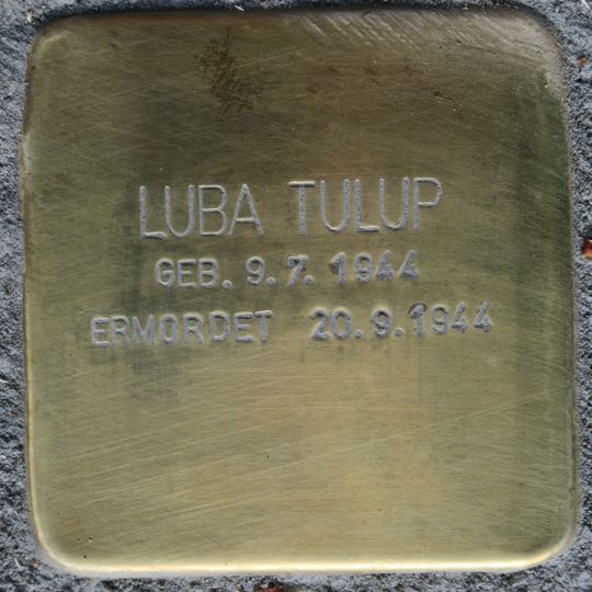 Stolperstein dedicated to Luba Tulup