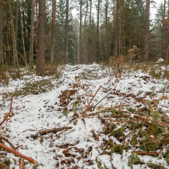 Tucherscher Vogelherd