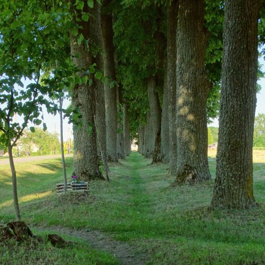 Pažibų liepų alėja