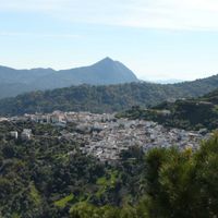 Benarrabá