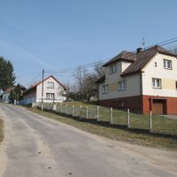 Borovice