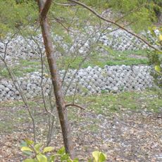 Otter Mound Preserve
