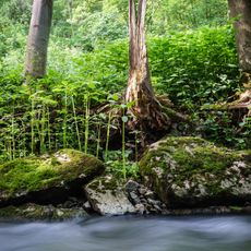 Mittleres Glemstal