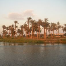 Nile Delta flooded savanna