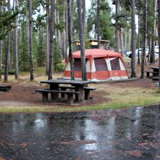 Madison Campground