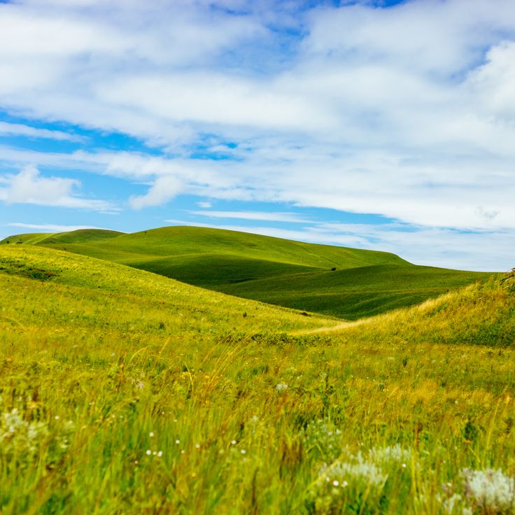 Park Narodowy Kitulo