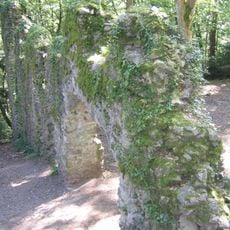 Wiesneck Castle