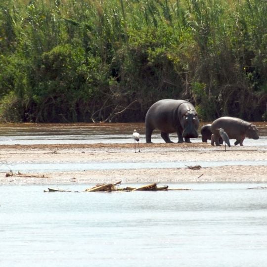 Parco nazionale di Rusizi