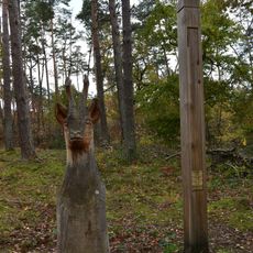 Natuurbegraafplek Isaekshoef