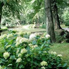 Schule Von-Witzleben-Allee 4