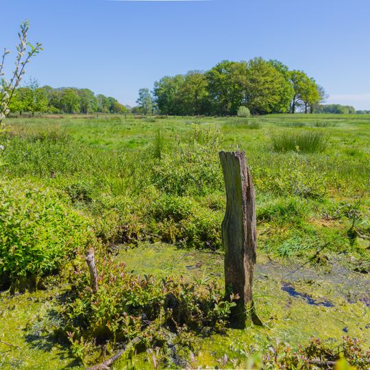Wiesen am Max-Clemens-Kanal