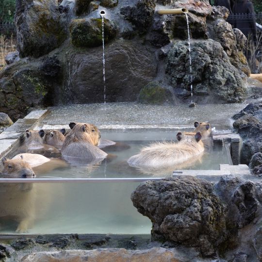 Saitama Children's Zoo